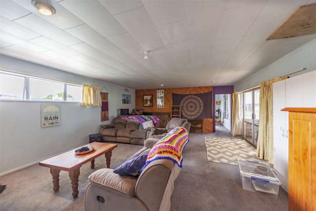 41 Plunket Street Tamatea_4