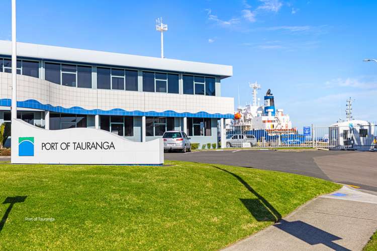 3d Matai Street Mount Maunganui_21