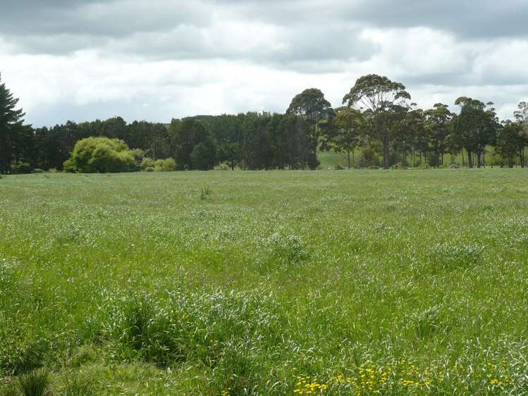 33 Larmer Road Kaitaia_11