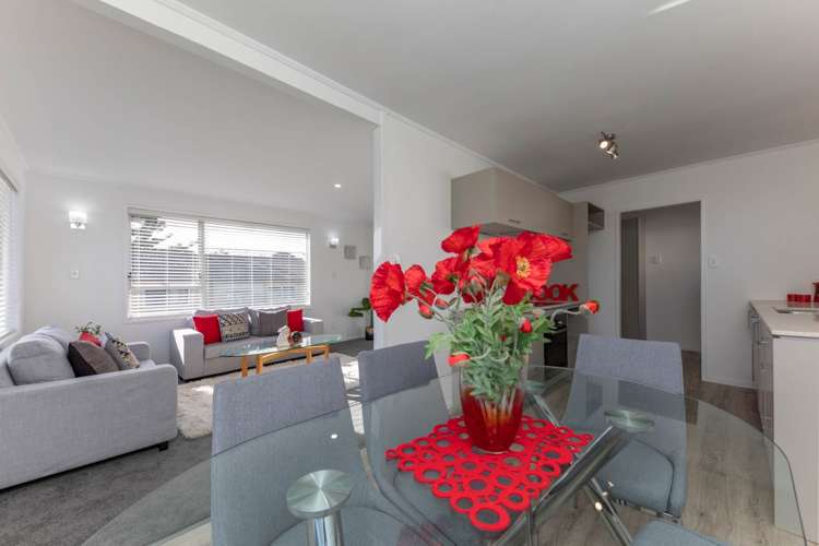 30 Leo Street Glen Eden_5