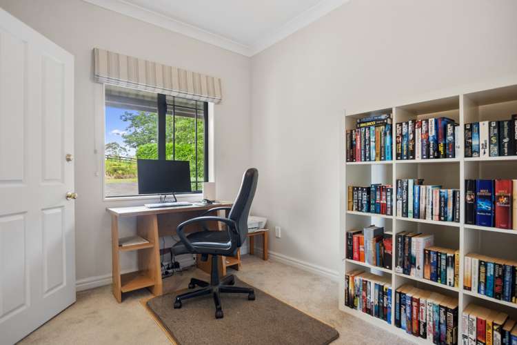 21 Thorn Road Kaimai_22