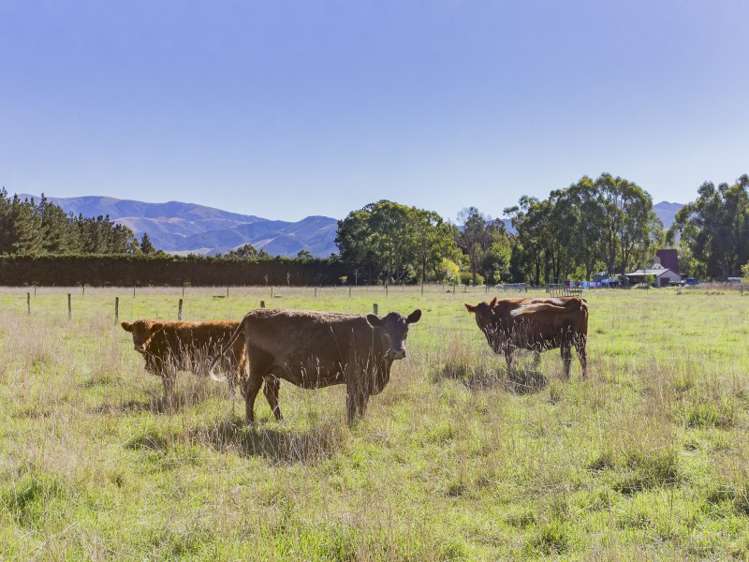 1104 Depot Road Oxford_10