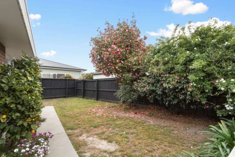 2a Vivian Street Burwood_12