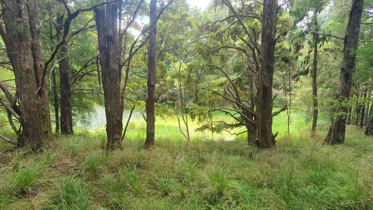 1241 Ararua Road Ararua_27