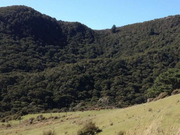 419 Spur Road Pongaroa_9