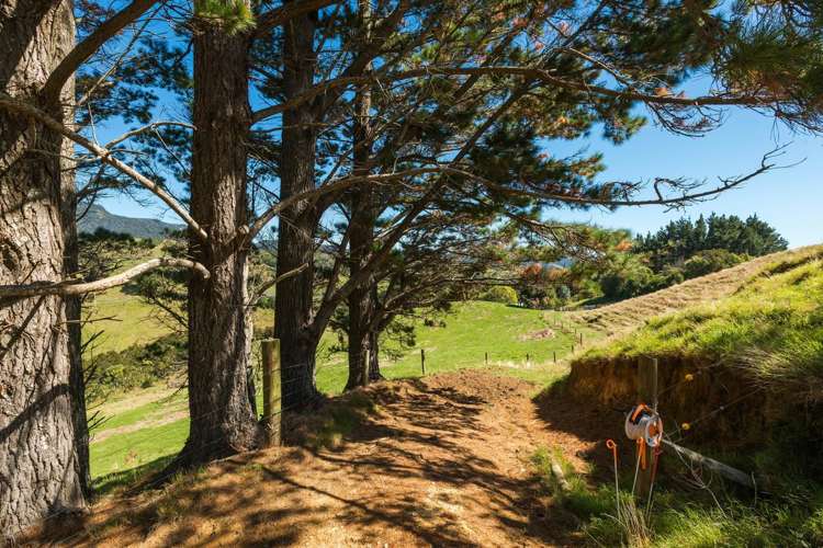 630 Wright Road Katikati_25