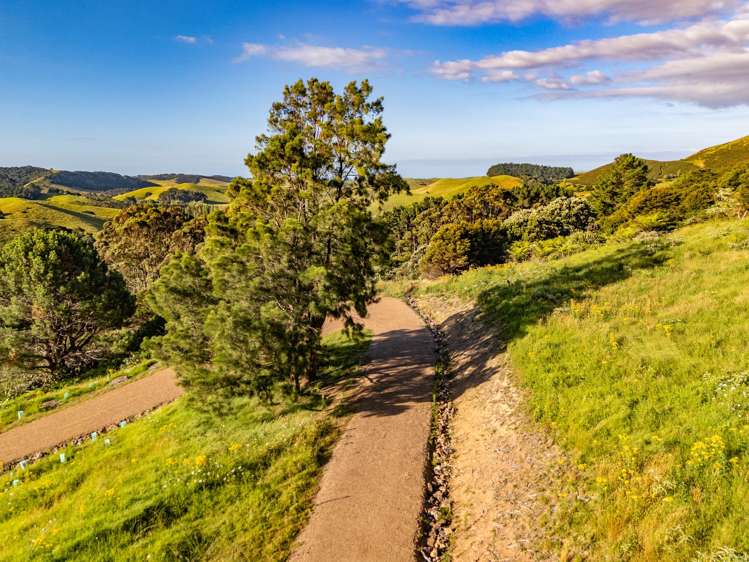 79-85 Awaawaroa Road Waiheke Island_4