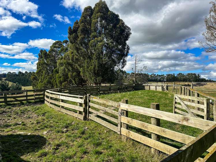 144 Block Road Pukeawa_12