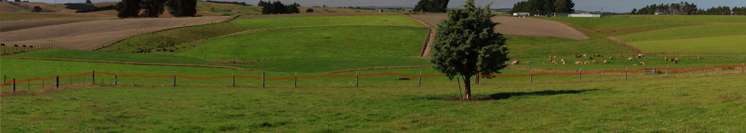 290 Old Port Road Warepa_28