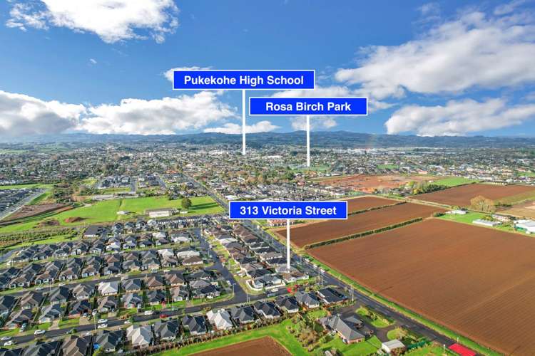 313 Victoria Street Pukekohe_26