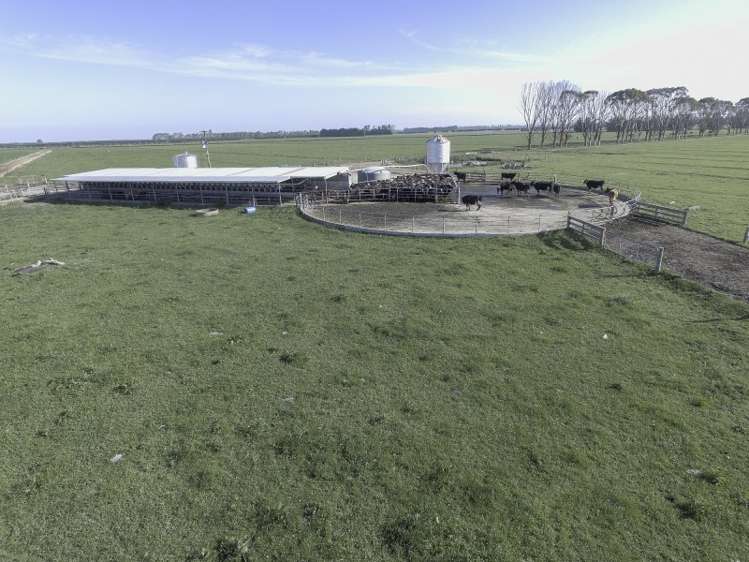 282 Braemar Lauriston Road Lauriston_1