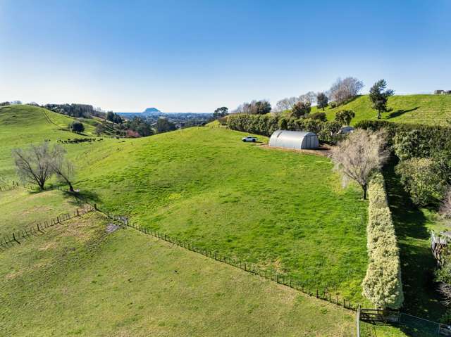 164C Crawford Road Te Puna_4