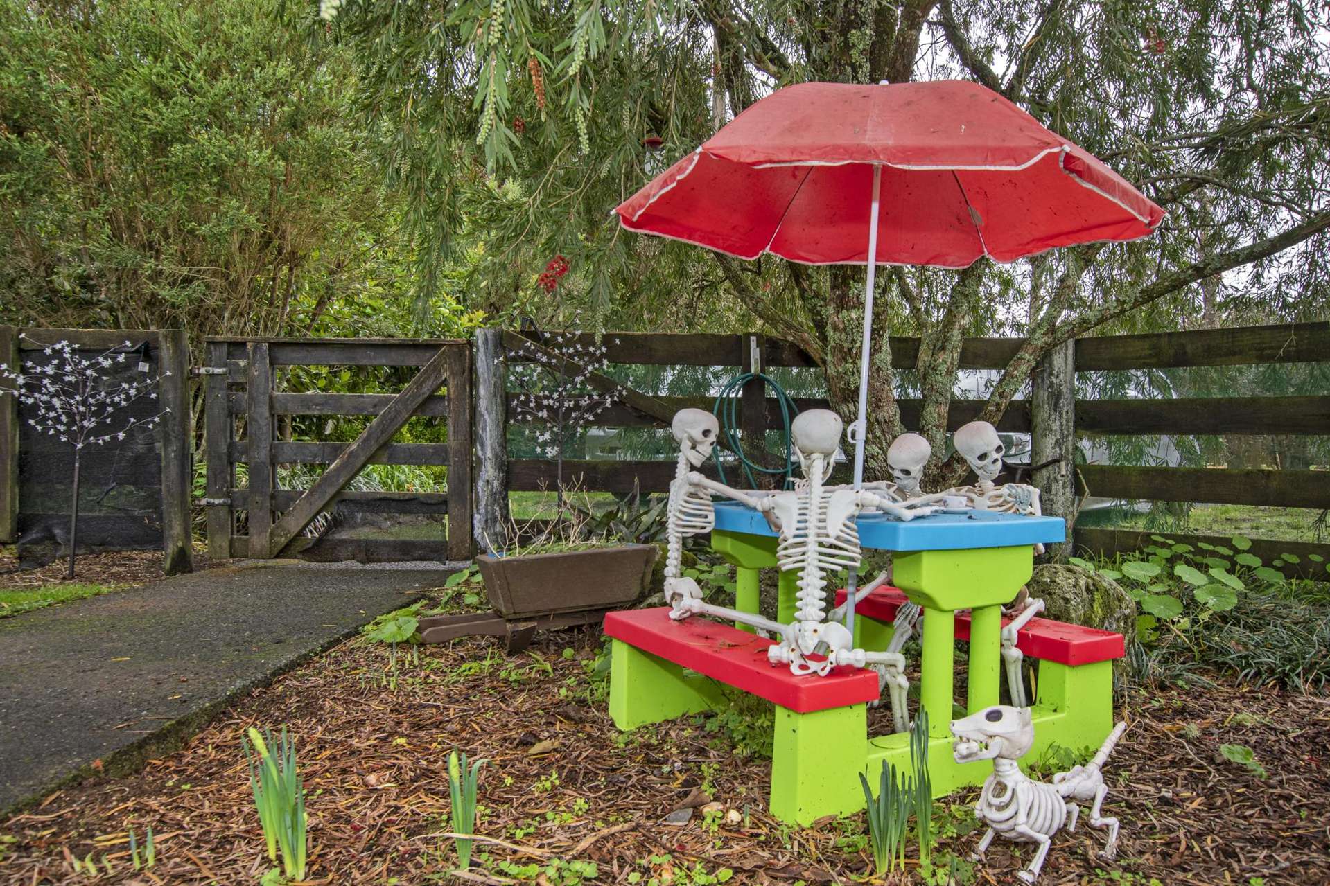 241 Whatitiri Road Maungatapere_0