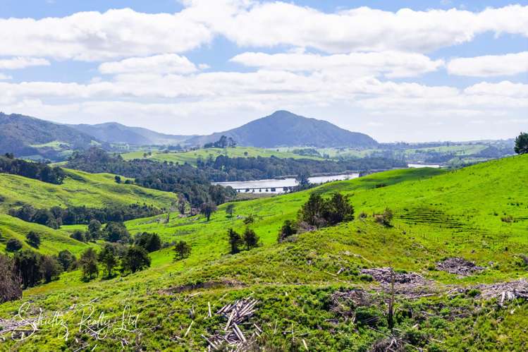 128 Kamea Place Maungaturoto_1