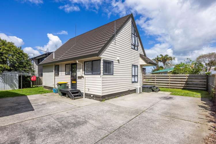 168A Old Farm Road Hamilton East_25