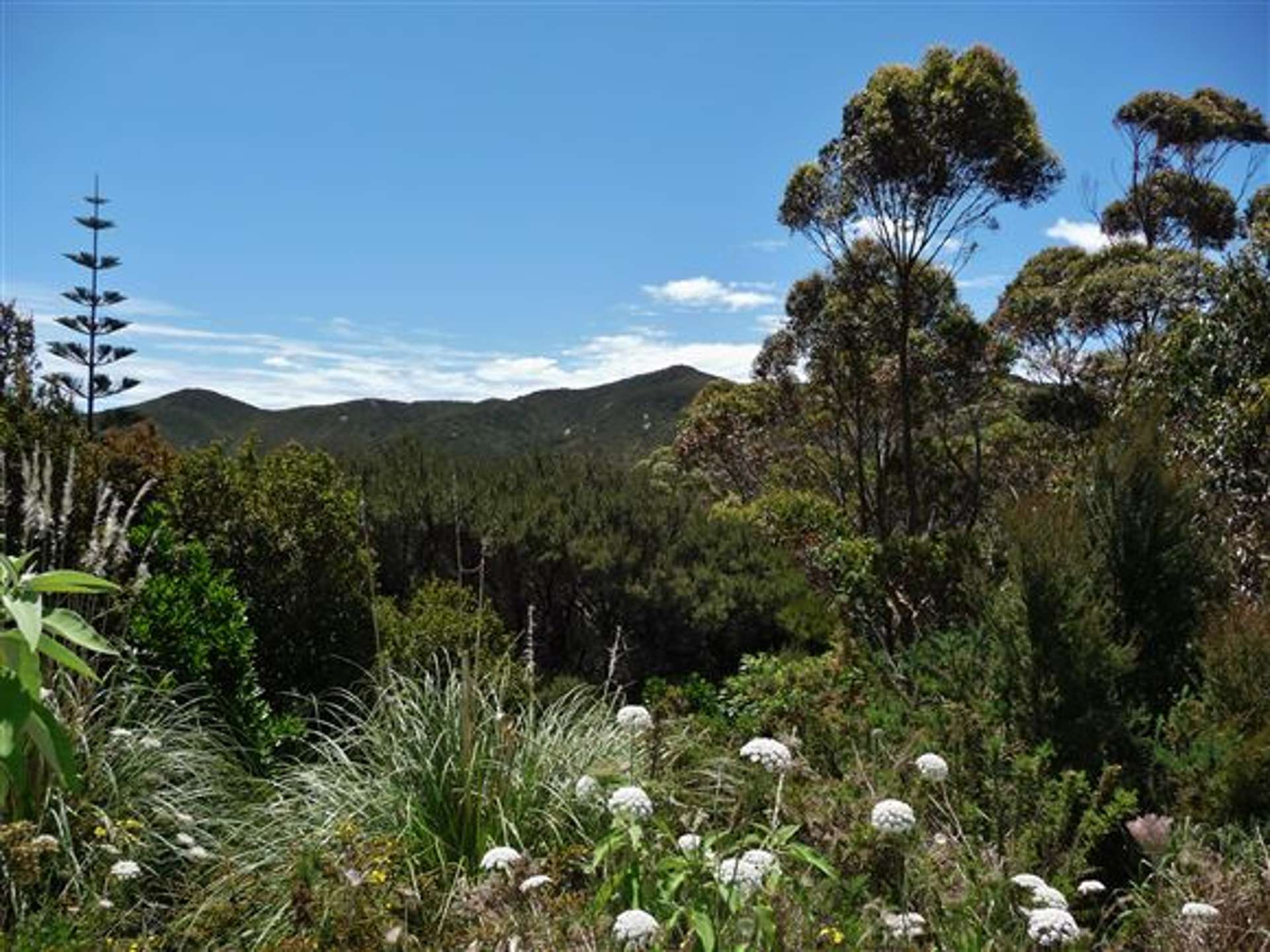 40 Matariki Place Karikari Peninsula_0