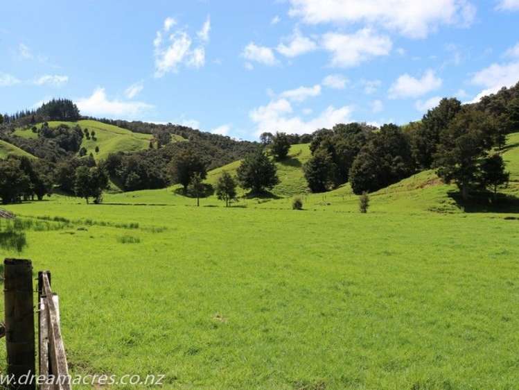 242 Owae Road Russell Surrounds_5