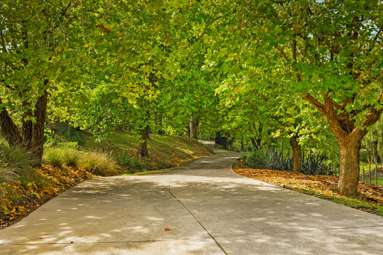 Lot Lot 5/115 Screen Road_1