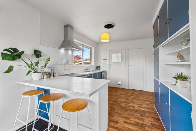 34 Colemans Road Springlands_11