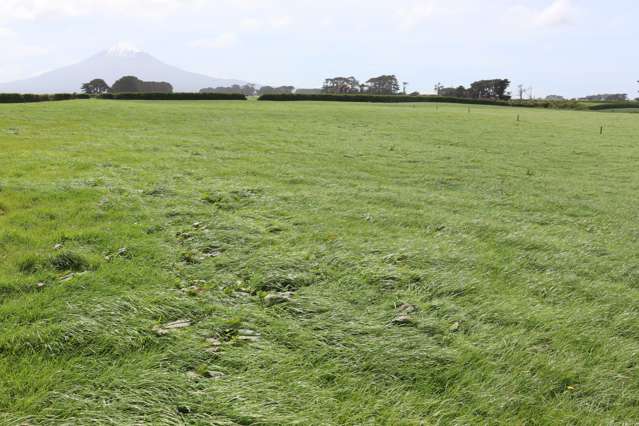 939 Auroa Road Auroa_2