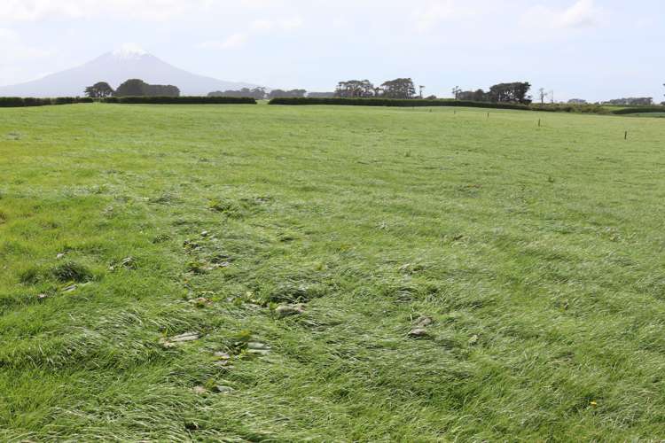 939 Auroa Road Auroa_2