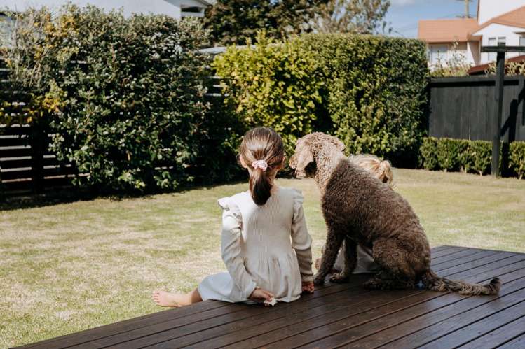 559 Maunganui Road Mount Maunganui_7