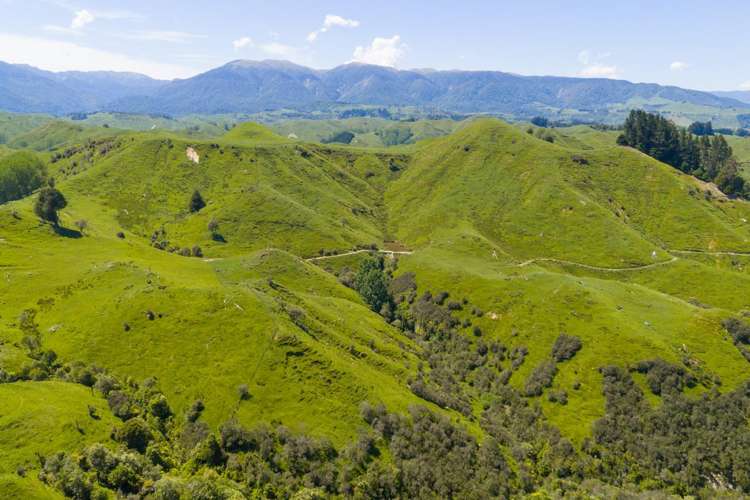 1691 Kawhatau Valley Road Mangaweka_10