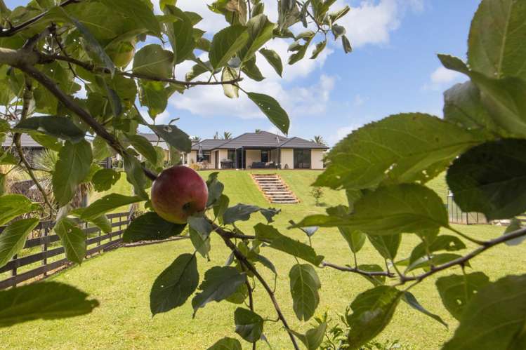 1 Karamu Place Waihi_2