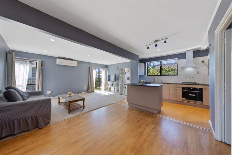 62 Tony Segedin Drive Avondale_13