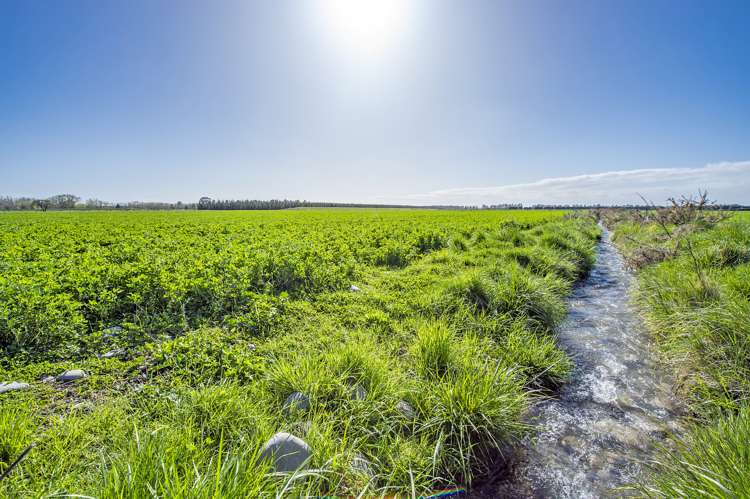 Thompsons Road West Melton_10