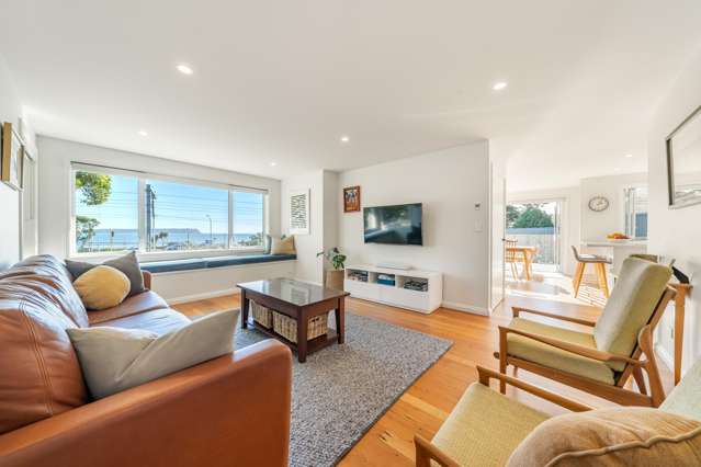 65a Steyne Avenue Plimmerton_1