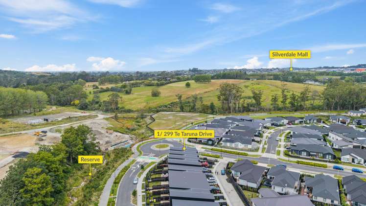 1/299 Te Taruna Drive Milldale_28