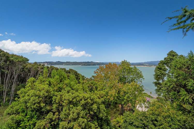 219 Buffalo Beach Road Whitianga_48