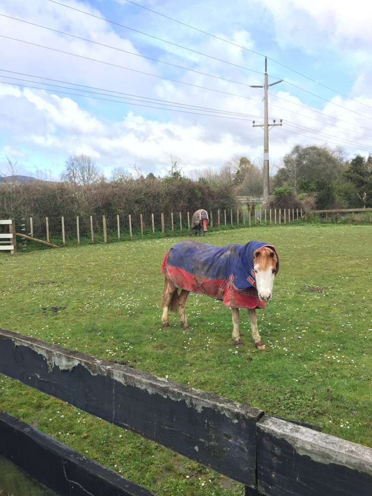 84 Appleby Road Drury_14