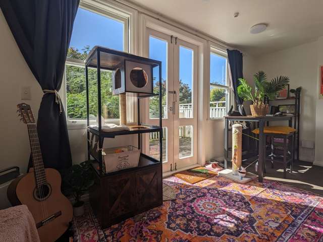 Sunny studio apartment in quiet central location