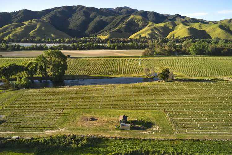 212 Selmes Road Rapaura_3