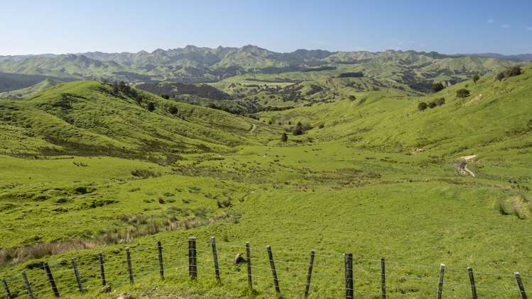 461 Admiral Station Road Gladstone_13