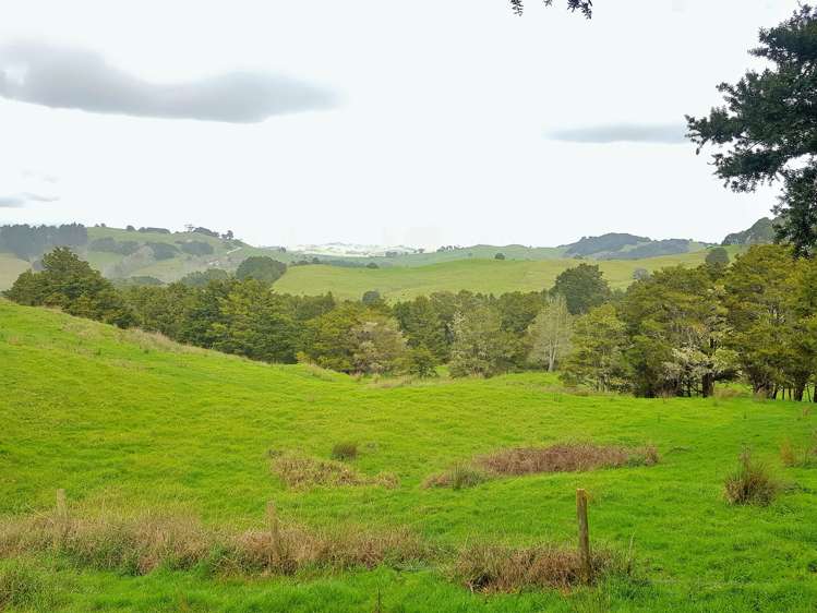 504 Wairere Road Paparoa_31