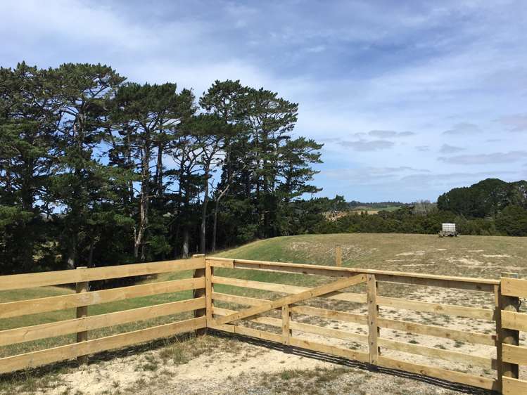 Pebble Brook Road Waitoki_5