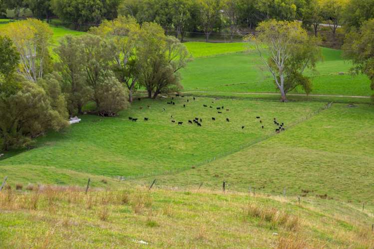 3160 Masterton Castlepoint Road Mangapakeha_17