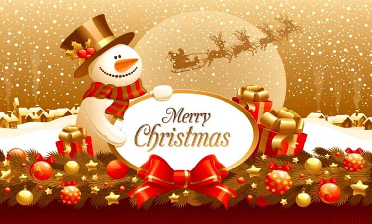 168 Northbrook Road Rangiora_19