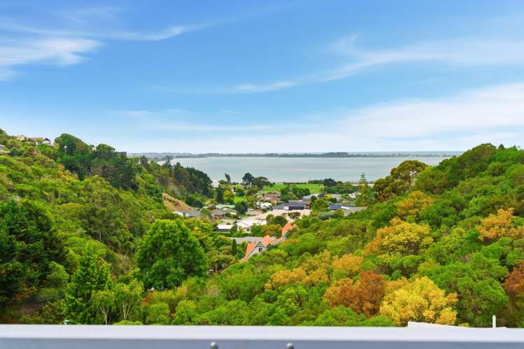 10 Cadiz Lane Mount Pleasant_36