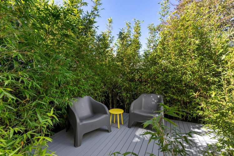 137 Aro Street Aro Valley_10