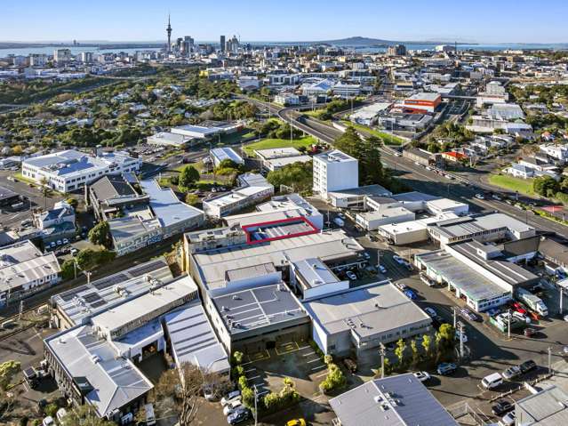 12 Akepiro Street Mt Eden_2