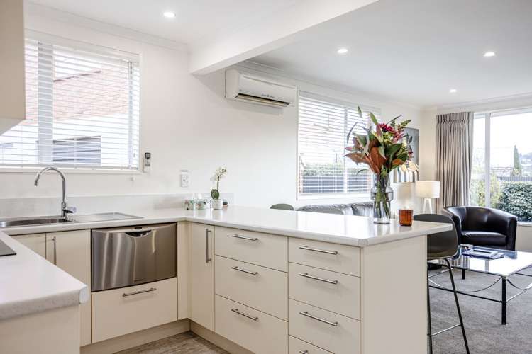 6A Hereford Street Roslyn_8