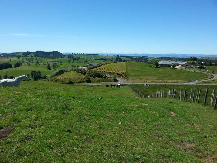 215 Forest Road Oruanui_0