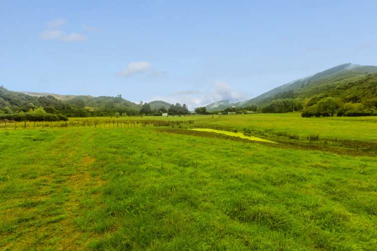 440 Whitemans Valley Road Whitemans Valley_7