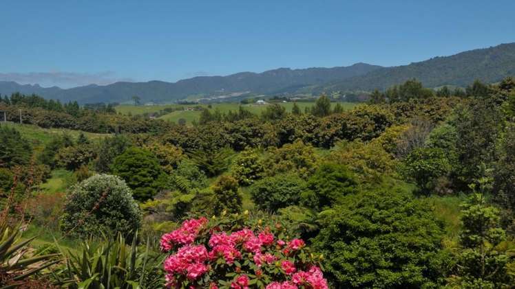 53d Woodland Road Hauraki Surrounds_16