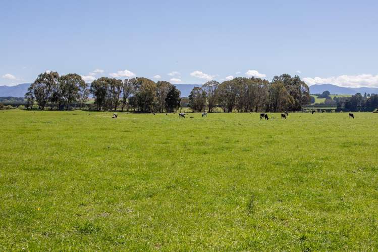 327 Okarae Road Dannevirke_17