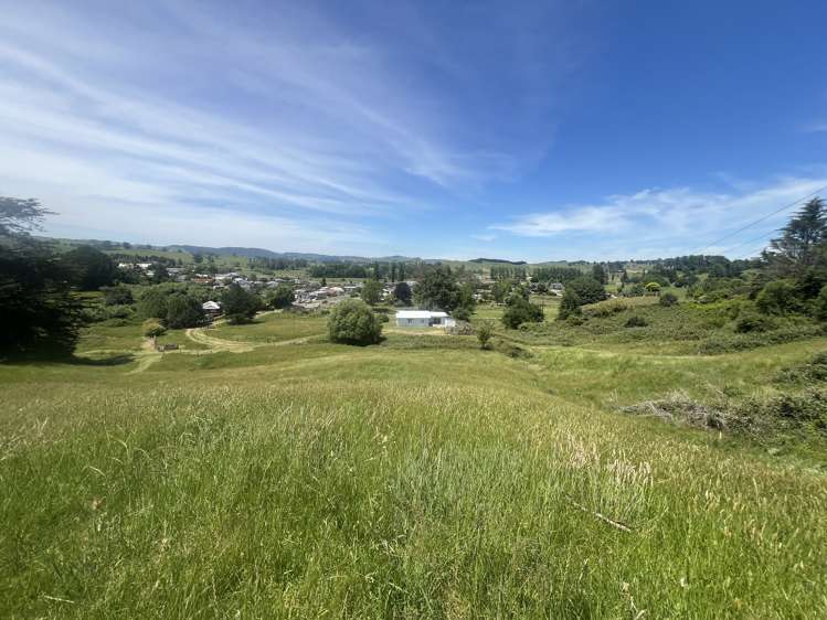 15 Kawana Street Piopio_19